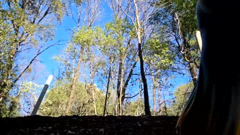 Aurora Wolfe  Shy College Girl  Top 16 of all OF Creators online show from January 11, 11:13 pm