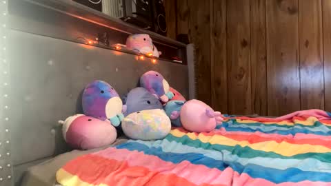 Sasha online show from November 27, 2:30 pm