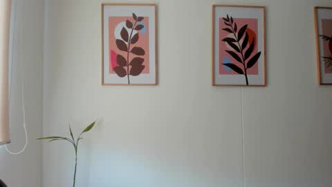 shylittlebunny online show from February 11, 2:33 pm