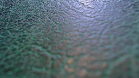 Tom and Betty online show from February 19, 6:42 am