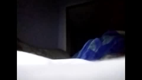 sil15nissan online show from March 27, 2:39 pm