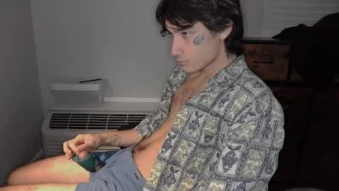 Snapshot of silly_cybin chatting on January 31, 12:07 pm cybin online show from January 31, 12:07 pm