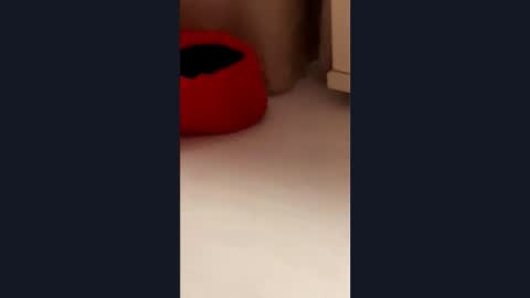 Snapshot of silvia998 chatting on March 21, 9:07 pm silvia998 online show from March 21, 9:07 pm