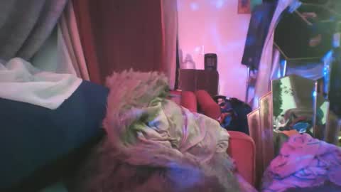 Snapshot of siofra chatting on February 24, 2:19 am Siofra online show from February 24, 2:19 am