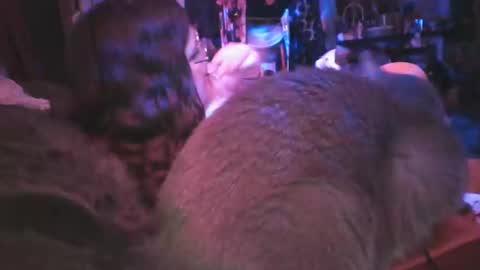 Snapshot of siofra chatting on March 6, 9:25 am Siofra online show from March 6, 9:25 am