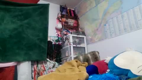 Snapshot of siofra chatting on September 14, 2:22 am Siofra online show from September 14, 2:22 am