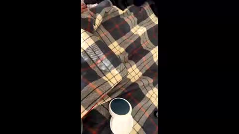 Snapshot of sirgalaxy chatting on November 2, 1:46 pm sirgalaxy online show from November 2, 1:46 pm