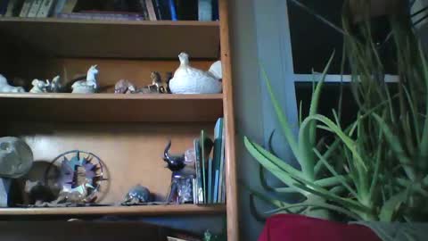 sirlicksaclit online show from January 14, 3:01 am