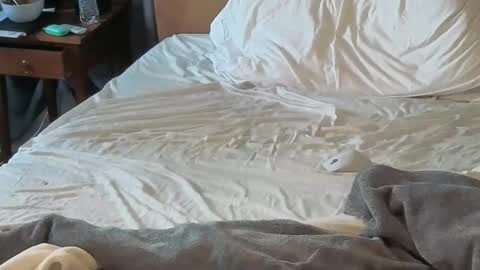 Snapshot of sissydensib chatting on April 18, 12:03 am Sissy Submissive online show from April 18, 12:03 am