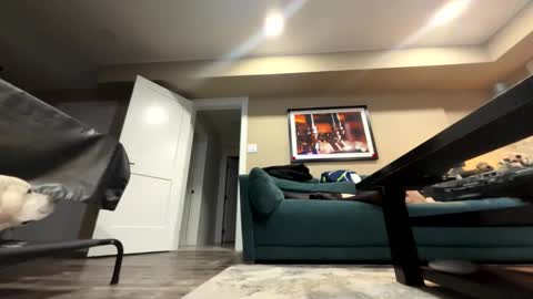 sissyinheelsbbc online show from November 9, 2:21 am