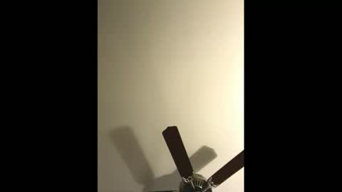 sissynovaholes online show from January 4, 2:56 am