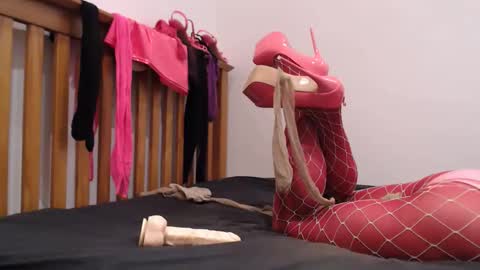 Lotty online show from November 26, 5:58 pm