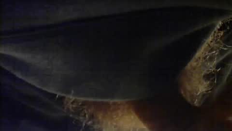 sjim368 online show from December 2, 1:17 pm