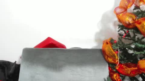 Skarleth online show from December 6, 12:16 pm