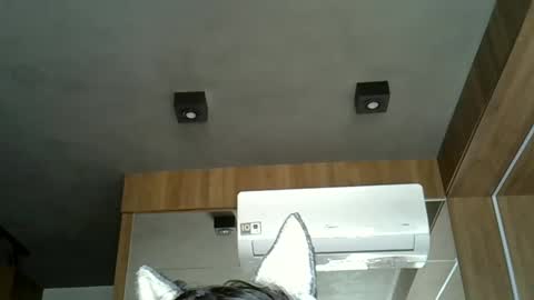skinnykittencam online show from September 21, 5:14 pm