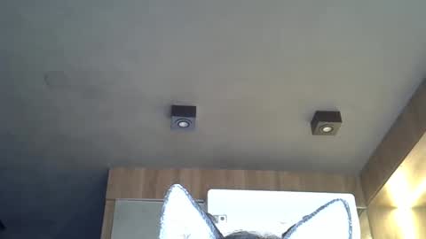 skinnykittencam online show from November 2, 12:07 pm