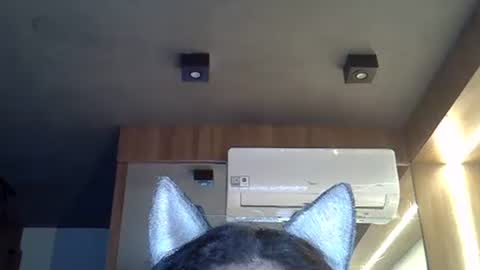 skinnykittencam online show from November 10, 8:46 am