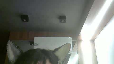 skinnykittencam online show from March 27, 8:37 am