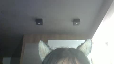 skinnykittencam online show from March 28, 4:01 am