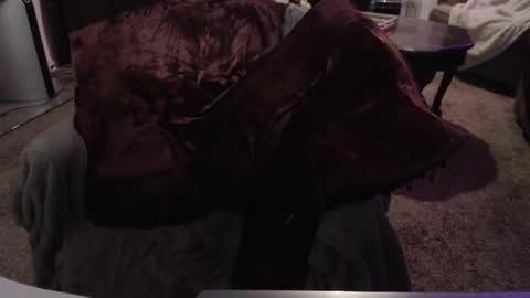 SKYLE   online show from September 24, 7:01 am