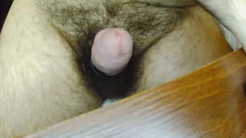 Snapshot of skygreen9456 chatting on August 9, 4:34 pm skygreen9456 online show from August 9, 4:34 pm