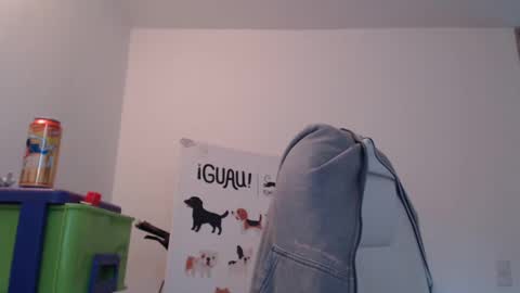 Skyler online show from February 17, 9:08 pm