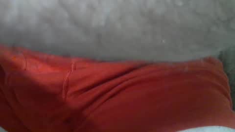 ResqPylot2 online show from September 17, 2:19 pm