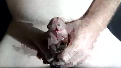 Snapshot of slash1710 chatting on February 4, 8:47 pm Z online show from February 4, 8:47 pm