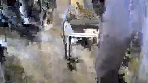 sledge2021 online show from November 17, 8:14 pm