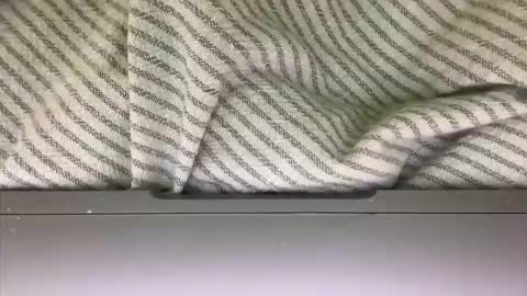 slice5 online show from March 21, 9:36 am