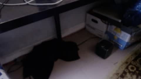 sliderguy699 online show from April 9, 10:48 pm