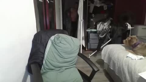 Slim984 online show from November 4, 4:44 am