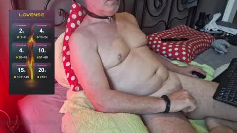 Slotos online show from June 24, 4:55 am