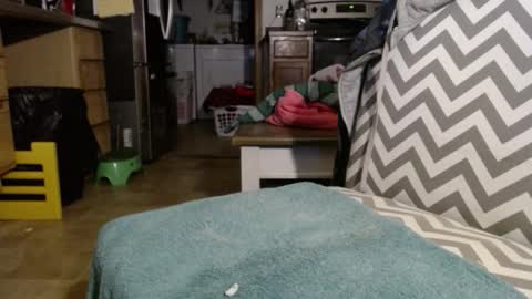 Slum Daddy online show from November 30, 11:25 am