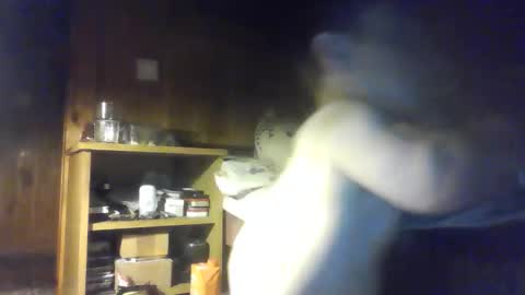 PIST PIST online show from October 9, 6:28 pm