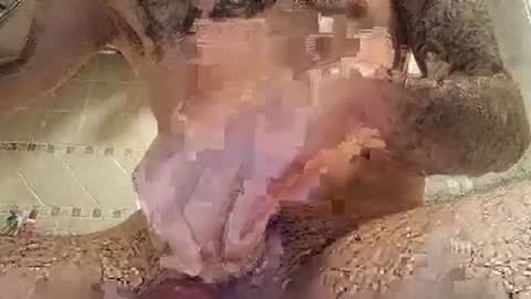 Snapshot of smallone8825 chatting on March 10, 6:27 am smallone8825 online show from March 10, 6:27 am