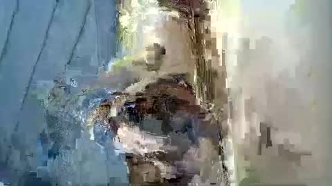 Snapshot of smiley_berry chatting on September 30, 7:30 pm smiley_berry online show from September 30, 7:30 pm