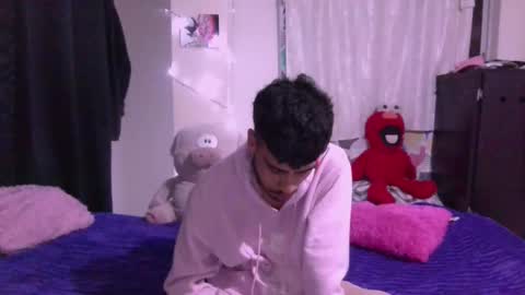 teddy online show from September 13, 8:03 am