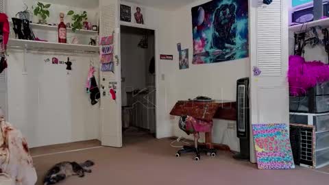 Snapshot of smokihippi chatting on November 11, 2:39 pm Big Dawg online show from November 11, 2:39 pm