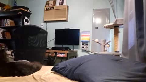 Snackyyyy online show from March 17, 6:00 pm