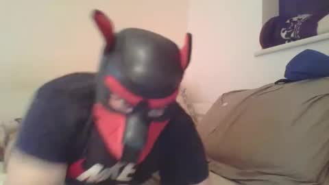 SoftPuppy online show from January 9, 10:33 pm