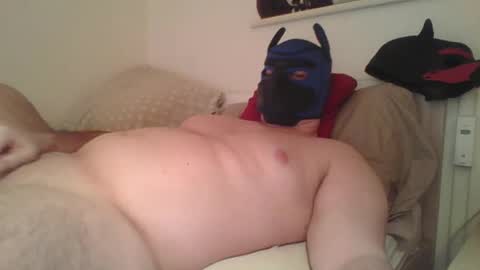 SoftPuppy online show from January 12, 9:09 pm