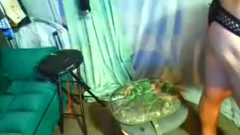 snizniz online show from July 29, 6:11 am