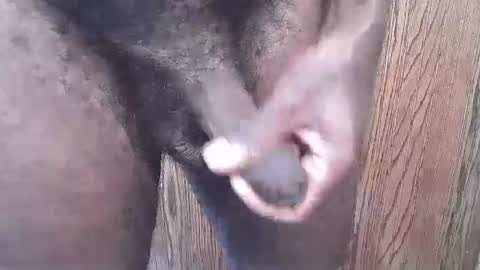 snkr1244 online show from September 13, 6:29 pm