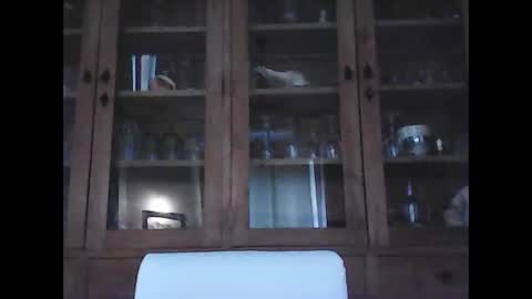 Snapshot of snoecks chatting on February 21, 9:21 am snoecks online show from February 21, 9:21 am