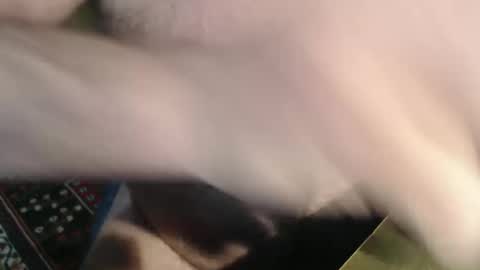 snudge432 online show from January 4, 4:22 pm