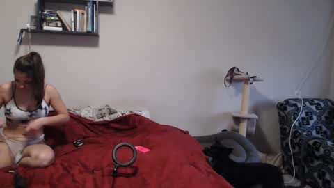 Snapshot of sofi_delightful chatting on December 12, 11:29 am Sofi online show from December 12, 11:29 am