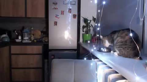 Snapshot of sofi_delightful chatting on January 19, 10:39 pm Sofi online show from January 19, 10:39 pm