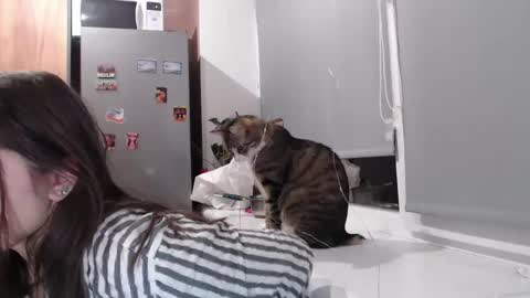 Snapshot of sofi_delightful chatting on February 11, 7:38 pm Sofi online show from February 11, 7:38 pm