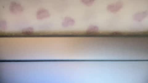 sofia8428 online show from September 22, 10:01 pm